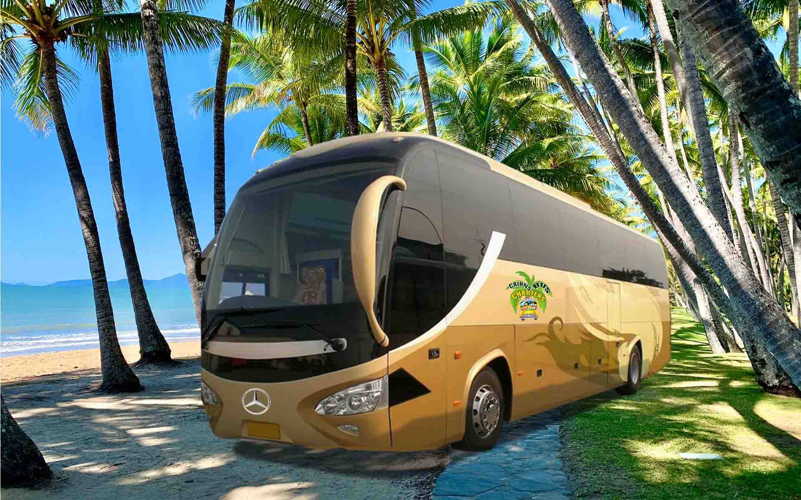 Cairns Bus Lines charter transport illustration